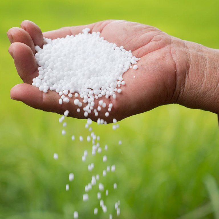 NPK Fertilizer Supplier Wholesale