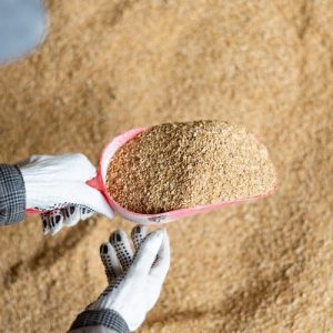 Buy Soybean Meal Wholesale