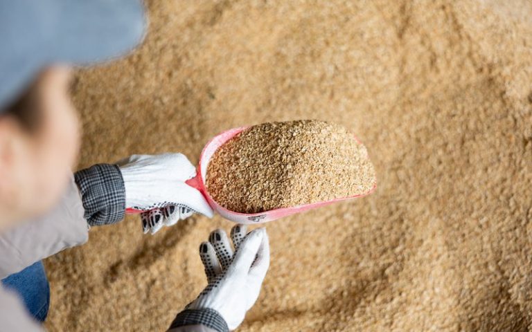 Buy Soybean Meal Wholesale