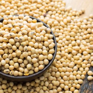 Buy Soybeans Wholesale Price
