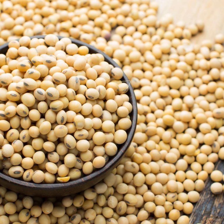 Buy Soybeans Wholesale Price
